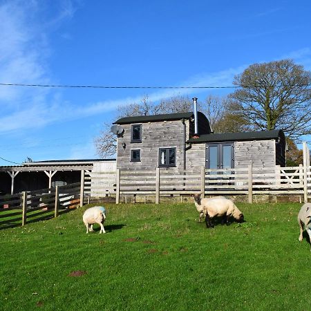 Shepherds Cabin At Titterstone Farden Exteriér fotografie